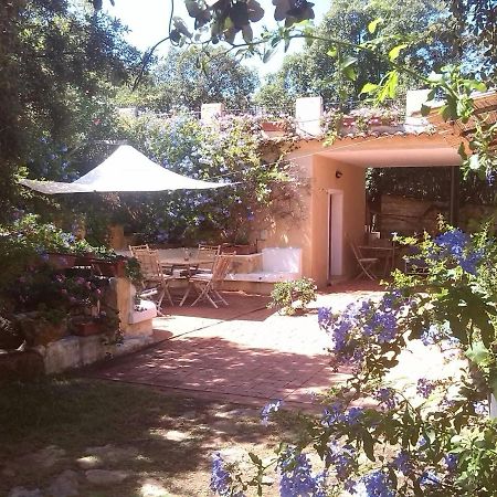 B&B Le Corti Di Aloa San Pantaleo Luaran gambar