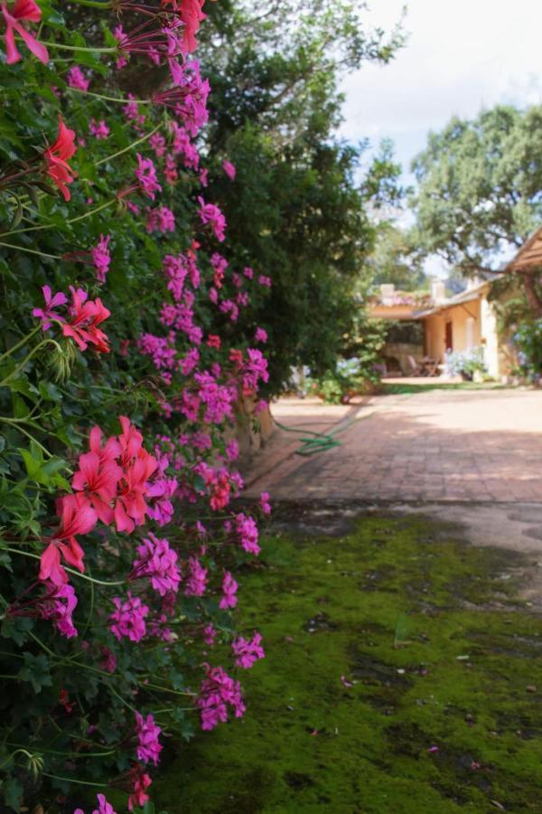 B&B Le Corti Di Aloa San Pantaleo Luaran gambar