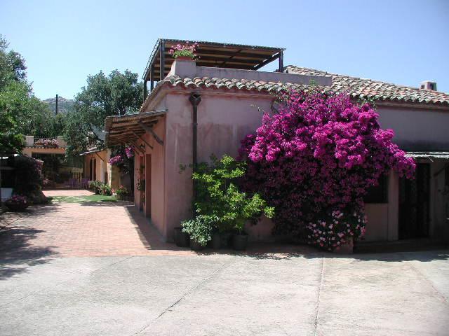 B&B Le Corti Di Aloa San Pantaleo Luaran gambar