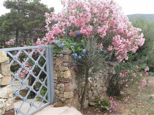 B&B Le Corti Di Aloa San Pantaleo Luaran gambar