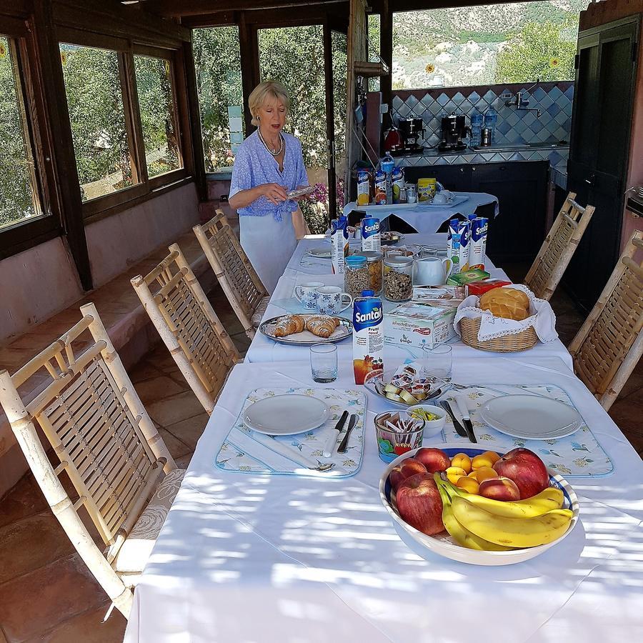 B&B Le Corti Di Aloa San Pantaleo Luaran gambar